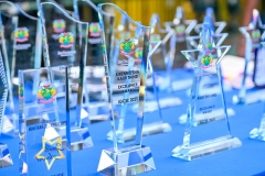 20260410-SDIS-ANNUAL-AWARD-7