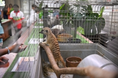 Leadership-Day-and-ECA-Carnival-151 Leadership-Day-and-ECA-Carnival-151