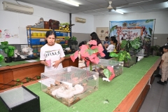 Leadership-Day-and-ECA-Carnival-391 Leadership-Day-and-ECA-Carnival-391