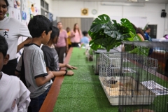 Leadership-Day-and-ECA-Carnival-394