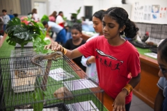 Leadership-Day-and-ECA-Carnival-433