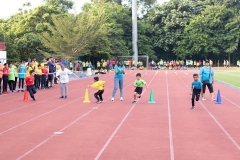 SDI-SportsDay-1418