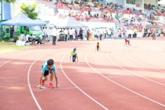 SDI-SportsDay-1506