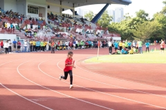 SDI-SportsDay-1512